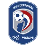 Division Profesional - Apertura logo