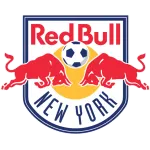 New York Red Bulls Logo
